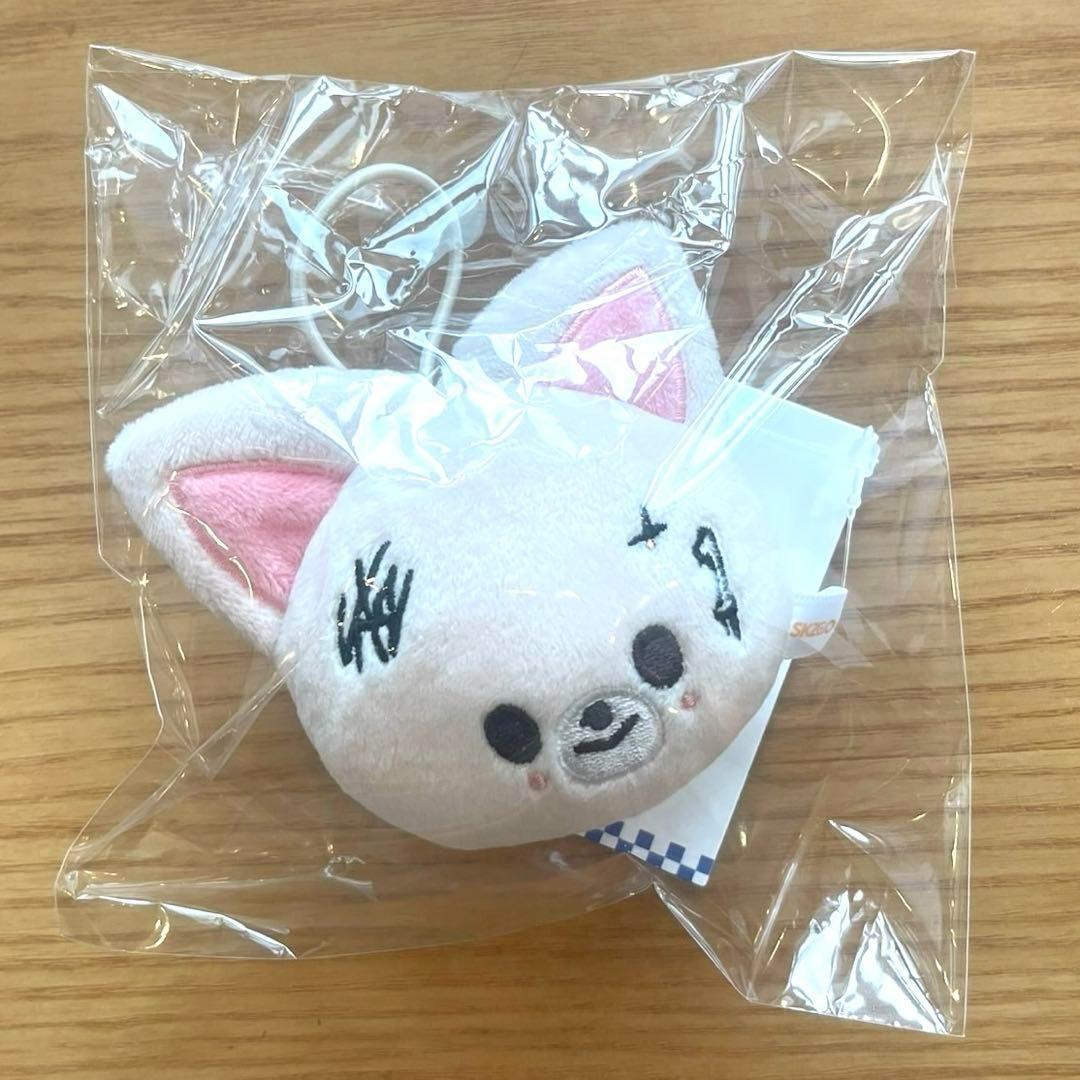 

[Б/У] AIEN SKZOO Именной бейдж Поп-ап Stray Kids