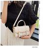 Popular Small Bags Women's Autumn and Winter New Fashion Niche Messenger Bags Women's Portable Small Square Bags