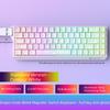 Low Noise USB Wired Keyboard 8K Return Hot Swap 0.01mm RT Custom RGB 65% Layout Size E-Sports Mechanical Gaming Keyboard