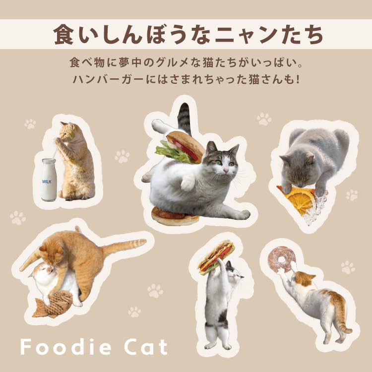 Masayuki Oki x Paw Plastic Umbrella Mini Beige Folding Umbrella Outer Rib 49cm Ladies Handle Squishy Cat Stylish Cute Commuting to Work or School