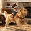 Adjustable Dog Riding Denim Clothing Novelty Cat Party Dressed Up Halloween Dog Clothes  Gift