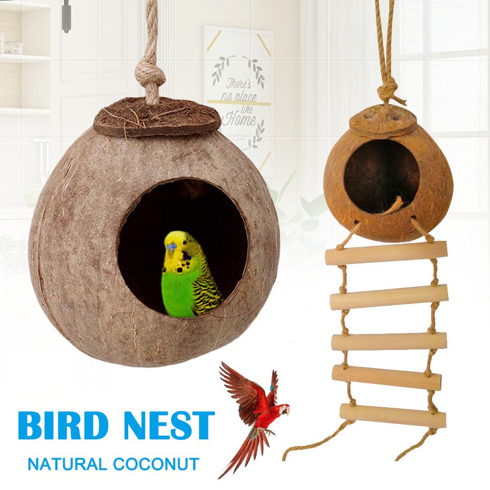 coconut bird toy
