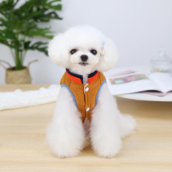 small dog jacket