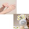 Kamill Perfumery Hand & Nail Cream - Chamomile Dive (50ml * 2 Units)