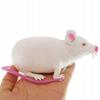 Huge Squishy Mouse Stretchy Mouse 28 With Tail White Mouse