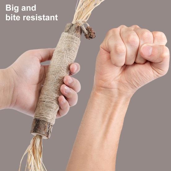 Yousheng Cat Chew Toy for Dental Care Edible Teeth Cleaning Teething Rod Natural Ingredients Cat Biting Sticks Entertainment Bite-resistant Fun