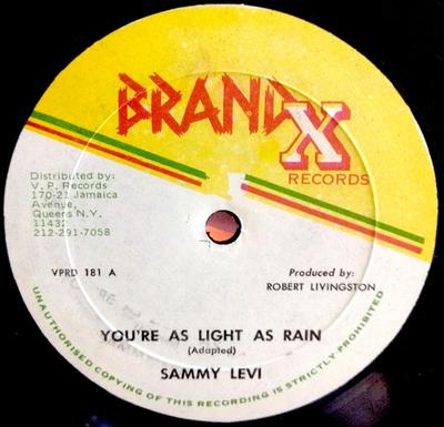 12inch Record SAMMY LEVI  Youre As Light As Rain VPRD181 BRAND X US Reggae Ska  Dub Used