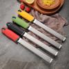 Stainless Steel Multi-Purpose Grater for Fruit, Cheese, Chocolate, and Lemon Zest.