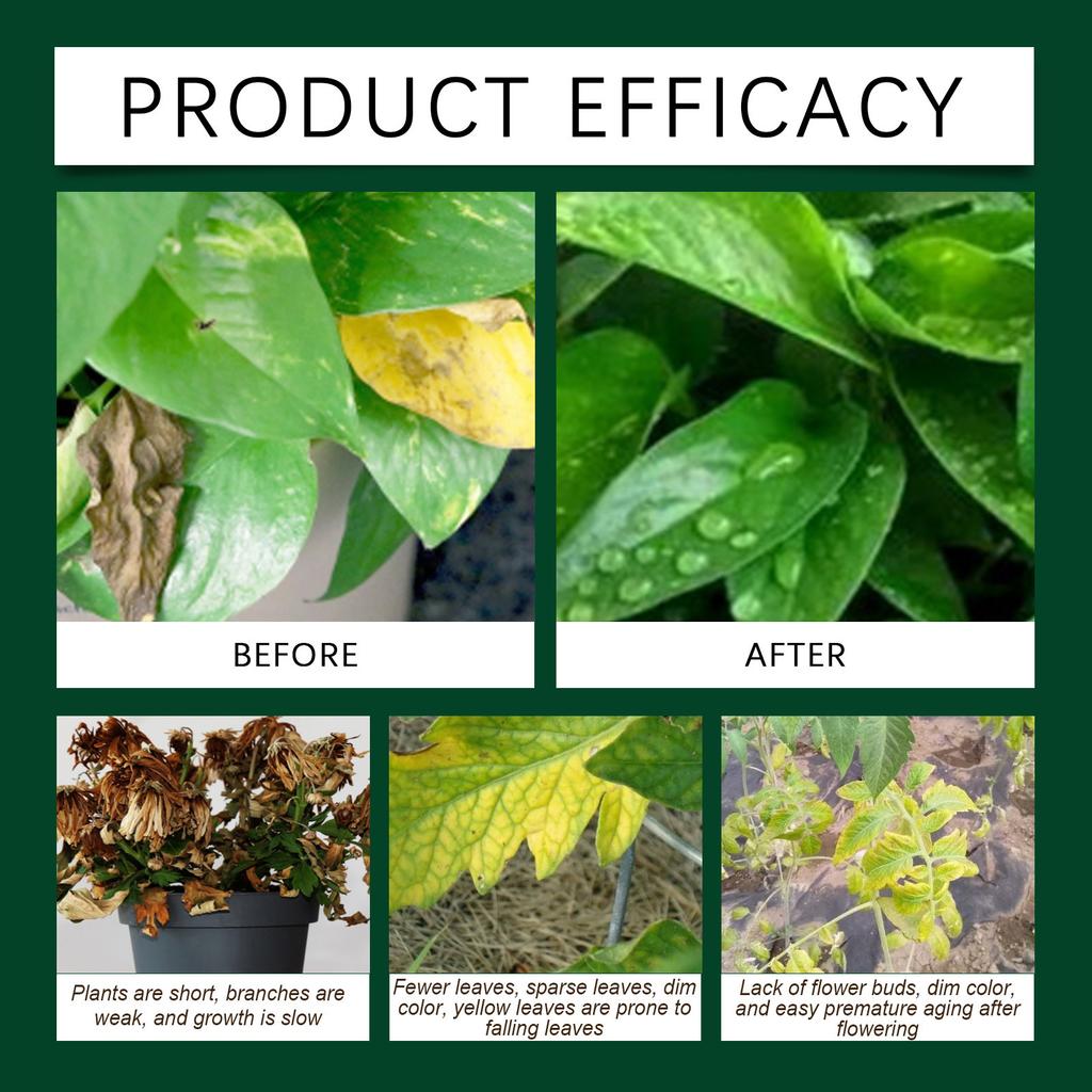 Plant Fertilizer, Indoor House Plants Liquid Food, 60ml Deep Nourishment For Cactus Orchid Hydrangea Monstera Pothos Garden Lawns Parks Balcony