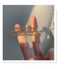 Women's 999 Sterling Silver Bow Ring: Elegant, High-End, Niche Design for Light Luxury Fashion