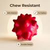Pet Toys Elastic Bite-Resistant Rubber Dog Chew Toy with Built-In Sound Thorny Ball for Teeth Cleaning Interactive Tug-of-War Play for Small Medium