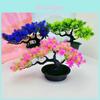 The Pine Greeting Guests Faux Pine Tree For Office Desk Decoration And Gift Idea