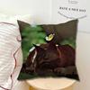 Game Orange Stray cat Single Throw Pillow Case Cover Sofa Cushion Home Room Decor