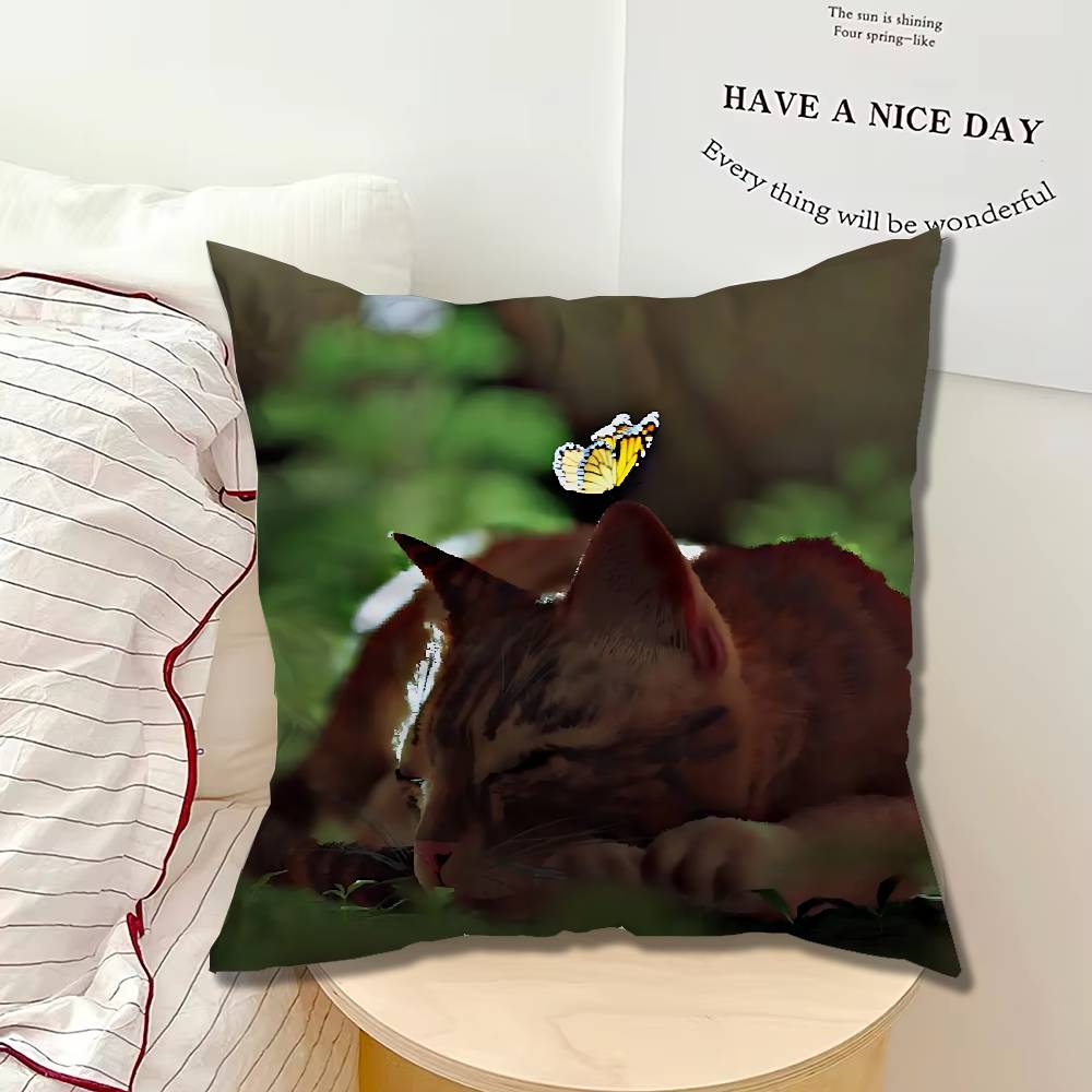 Game Orange Stray cat Single Throw Pillow Case Cover Sofa Cushion Home Room Decor