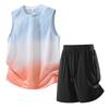 Men's Casual Sports Set Summer Thin Running Speed Dry Two-piece Set