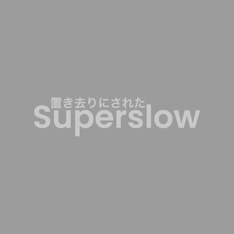 

Super Slow Japanese Racing Car Decals Creativeandfunny Stickers For Cartoon Fansandloverhigh Quality For Car Trucks Motorcycles S