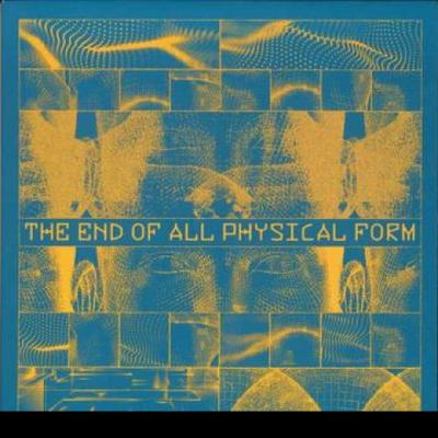 Disque LP JSHADOW  The End Of All Physical Form 2LP SNKRLP010 Sneaker Social 2023 UK Danse  Electronica