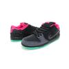 Nike Sb Dunk Low Premier Northern Lights 724183-063