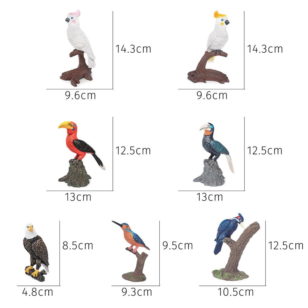 Realistic Bird Model Pvc Owls Eagles Parrots And Woodpeckers For Childrens Educational Decor