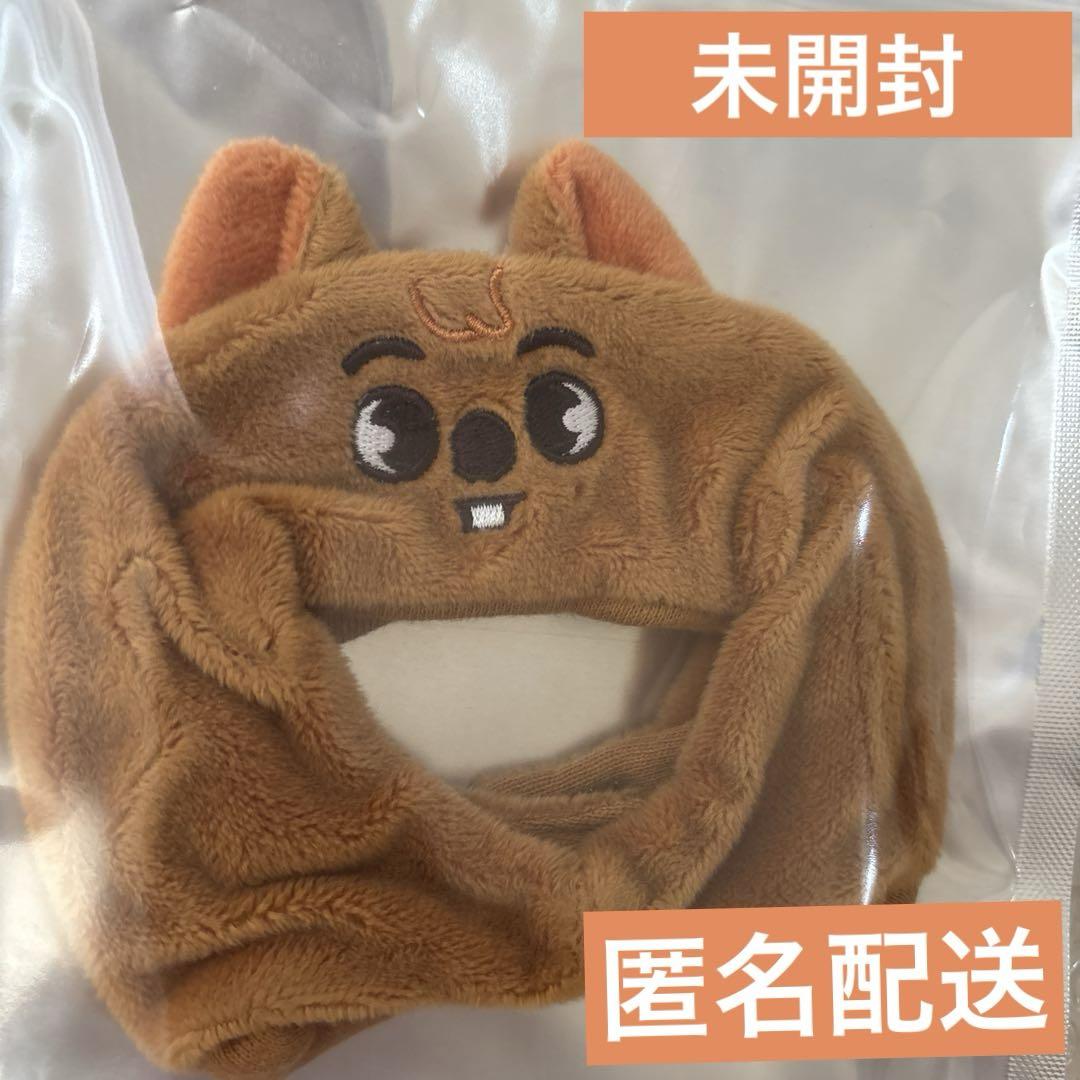 

[Б/У] SKZ Han skzoo Hankuokka чехол для лайтстика вер.2