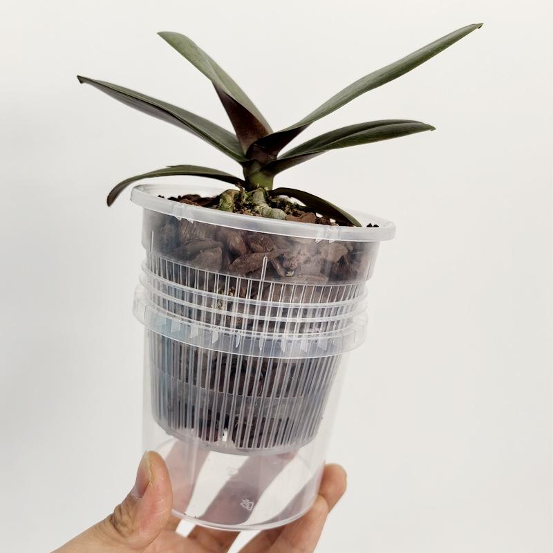Meshpot Root Control Transparent Flowerpot Breathable Flowerpot Double-layer Growth Container with Drainage Hole Orchid Planters