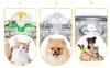 Fountain Drink For Cat Dog Bowl Automatic Drinker Led Silent + Filter