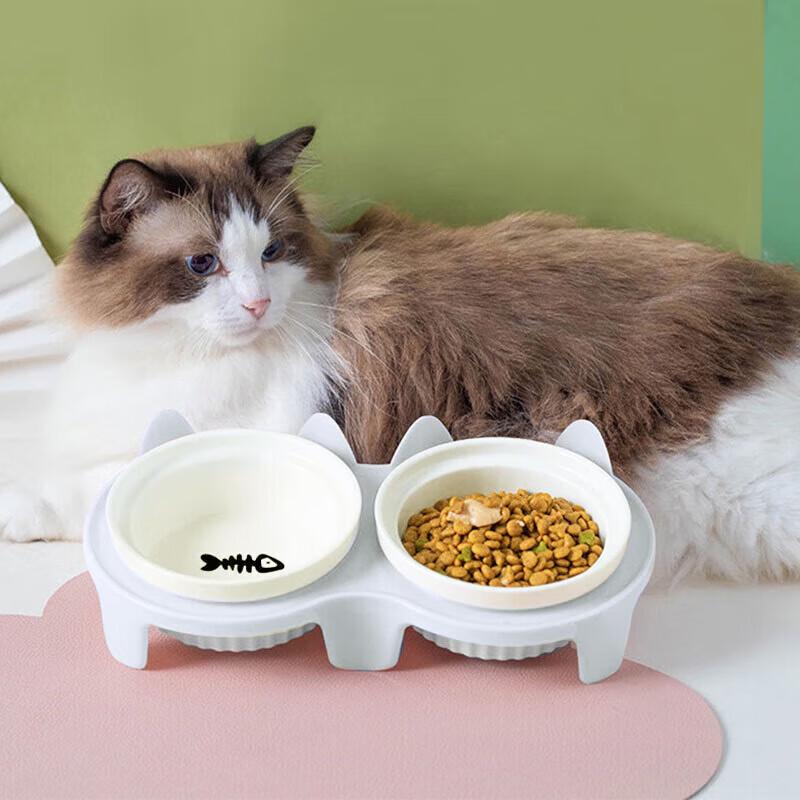 Наклонная двойная керамическая миска для животных на подставке