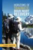 The Horizons of Traumatic Brain Injury Recovery Book