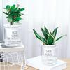 Self Watering Plant Pot Flower Pot with Deep Clear Reservoir Modern Planter with Wick Ropes for Houseplants Indoor Pothos