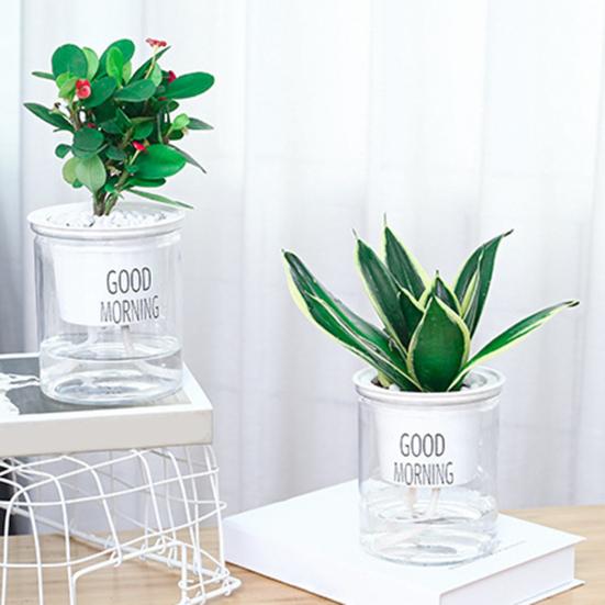 Self Watering Plant Pot Flower Pot with Deep Clear Reservoir Modern Planter with Wick Ropes for Houseplants Indoor Pothos
