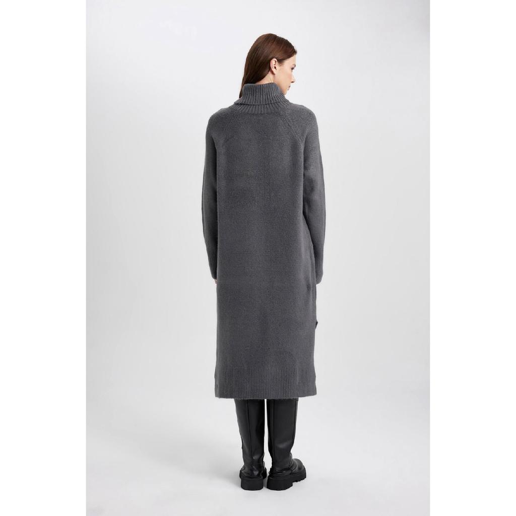 Regular Fit Turtleneck Long Sleeve Dress C1932ax23wn