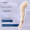 Hongyan Adult Lower Limb Bone Marrow Puncture & Intraosseous Infusion Model