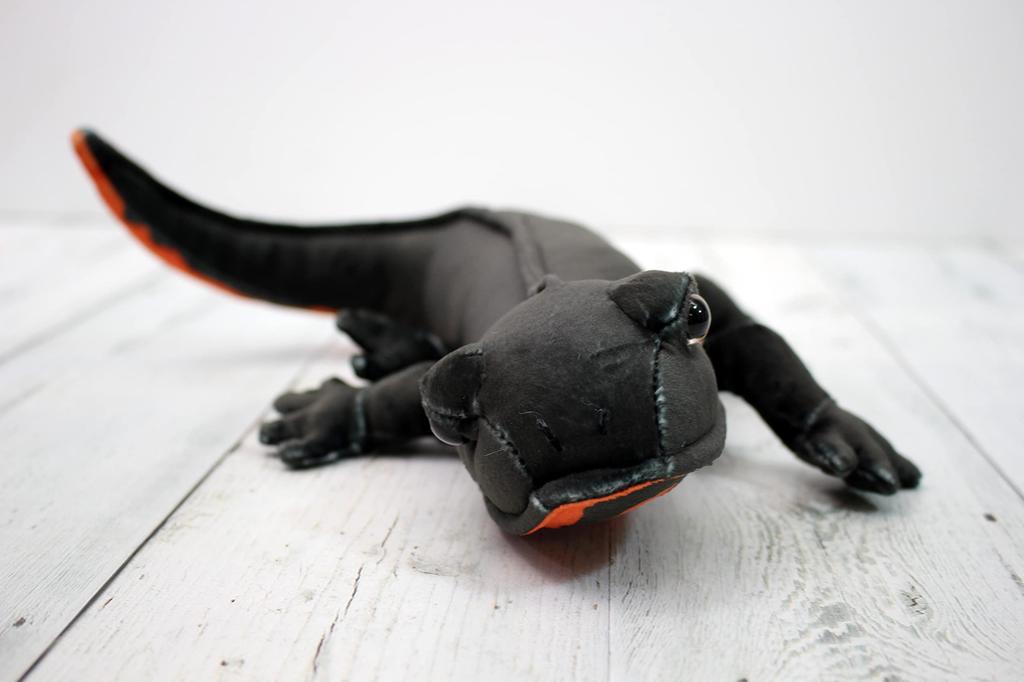 Takeoff Red-bellied Newt