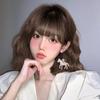 Small Horse Hook Earrings Resin Jewelry Present Fashionable Ear Pendants  Women