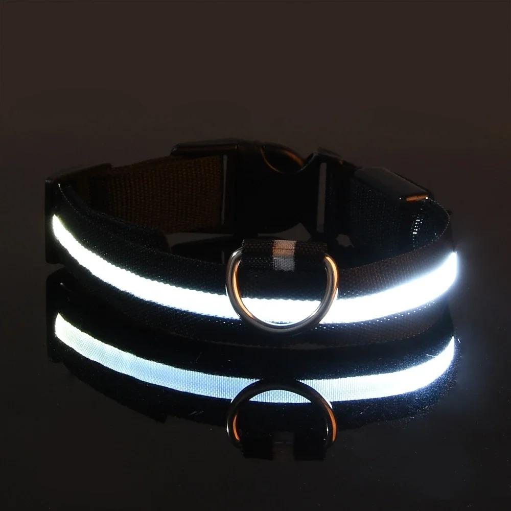 Light Up the Night - Stay Visible with Dog Glow Collar, Anti-Lost and Flashing Design for Safety