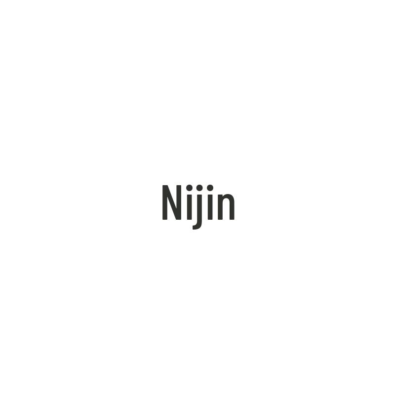 Nijing Front Shock Absorber for Steyr SX2190/2150/SX2300