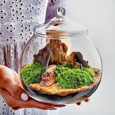 Micro Landscape Mech mechorost Tvar koule Skleněná váza s víkem Láhev s čerstvým zeleným mechem Skleněné terárium Bonsai Dekorace na pracovní plochu