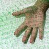 Garden Fruit Tree Protection Net Birdproofing Pool Net - Durable Bird Control Mesh for Garden Ponds And Orchards