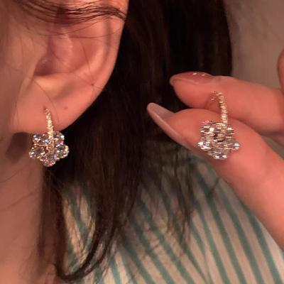 Exquisite Sterling Silber Zirkonia Ohrringe für Damen: 2025 Trendiger Temperamentvoller Stil