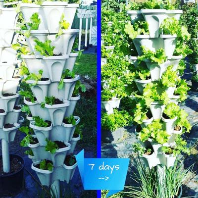 Macetero Vertical apilable de plástico para decoración de jardín