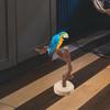 Parrot Perch Stand Wooden Strong Stable Base Bird Training Perch Indoor Desktop Parrot Standing Rack Bird Training Stand