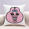OOpanchu Usagi  Doublesided print Pillow Case Pattern Printed Pillowcase For Living Room Sofa Cushion Cover