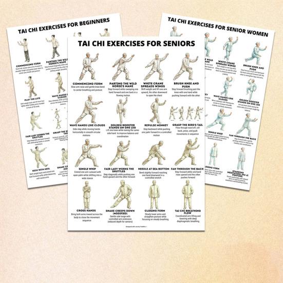 3 kusy Tai Chi cvičebních plakátů Ilustrace sedavé Tai Chi sestavy Pokyny pro jemné cvičení pro začátečníky Tai Chi Seniory