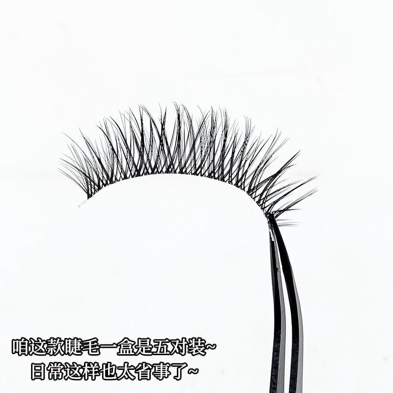 Lashie - Dense Multipack False Eyelashes