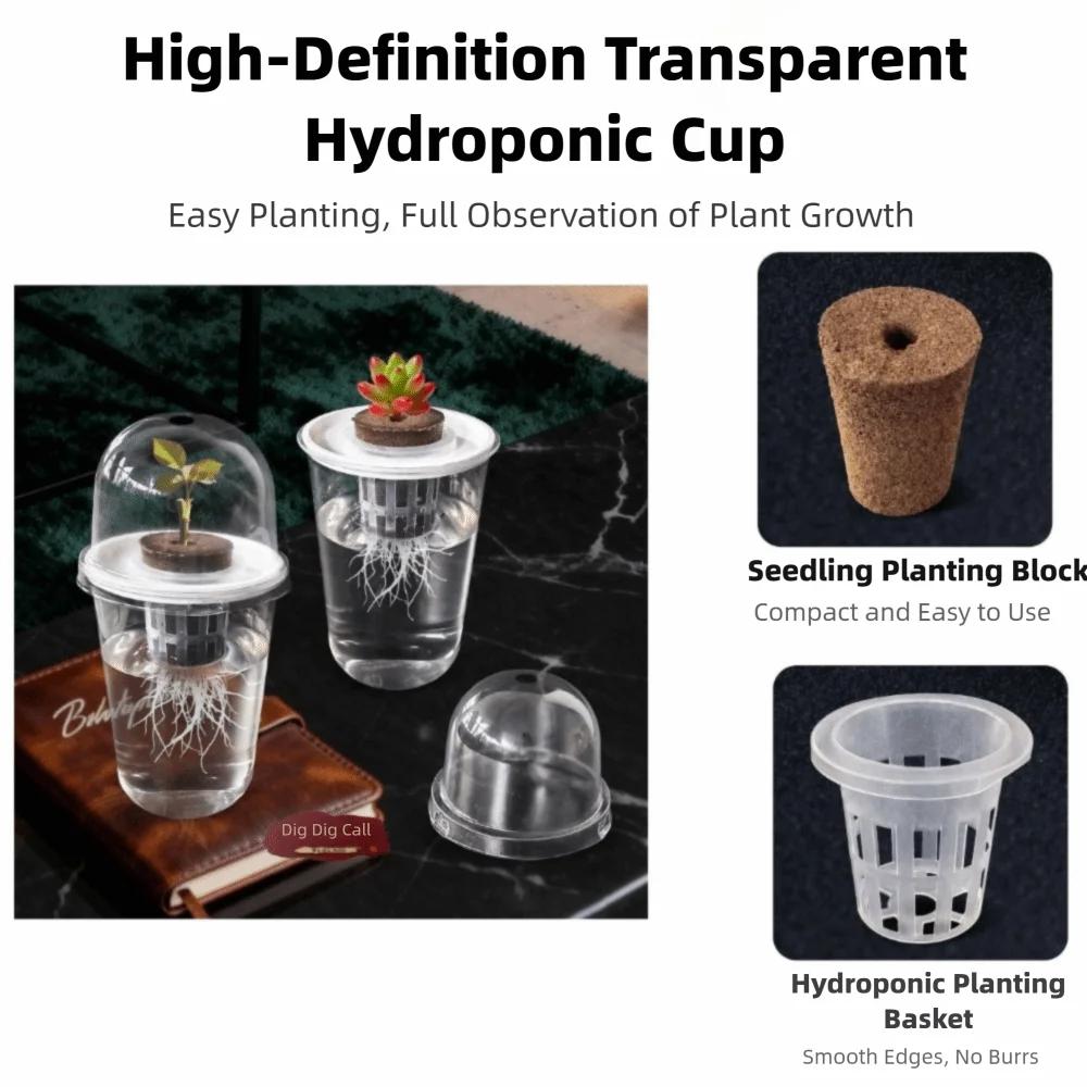 Plastic Material Hydroponic Seed Planter Pots Reusable Durable Seedling Baskets Transparent Plastic Cups Windowsill Gardening