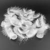 Natural Feathers, DIY Decorative Accessories, White Feathers, Wedding Craft Material, Feathers for Wedding Decorations [Set of 100 (White)]