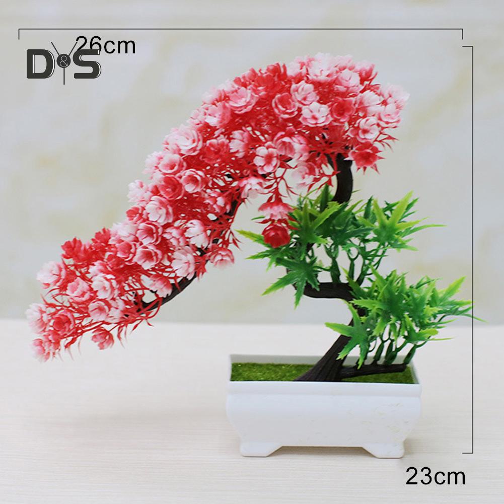 Buchet înflorit, flori, plantă, copac, bonsai, birou, grădină, petrecere, ornament de birou