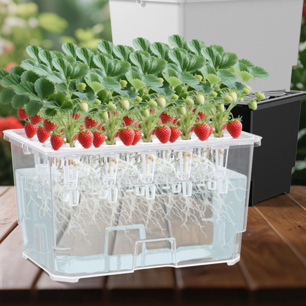Indoor Herb Garden 15-hole System 15 Holes Plastic Construction Root Growth Monitoring Nutrient Level Monitoring