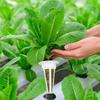 30pcs Replacement Root Seed Grow Sponges Seed Starting Hydroponics Growth Sponges Planting Tool Biodegradable