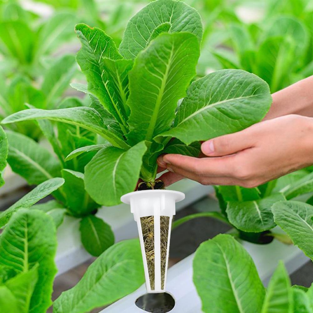 30pcs Replacement Root Seed Grow Sponges Seed Starting Hydroponics Growth Sponges Planting Tool Biodegradable